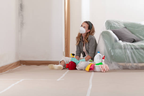 Reliable Mold Cleanup contractor in Camden, NC by Cheap Mold Removal